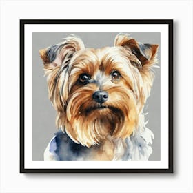 Yorkshire Terrier Art Print