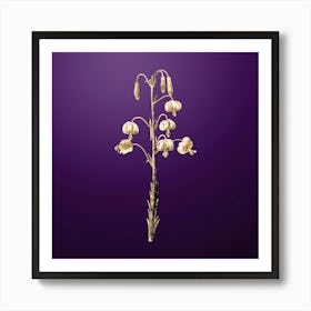 Gold Botanical Lilium Pyrenaicum on Royal Purple n.3403 Art Print