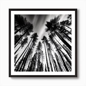 Black And White Forest 4 Art Print