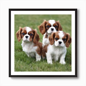 Three King Charles Spaniels Art Print