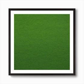 Green Grass 51 Art Print