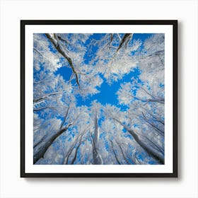 Frosty Forest 2 Art Print