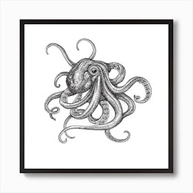 Octopus Square Art Print