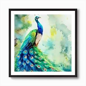 Peacock Watercolor Painting Art Print