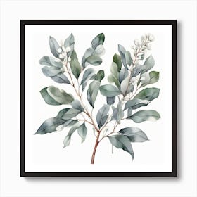 Silver eucalyptus branch 5 Art Print