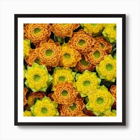 Orange Chrysanthemums Art Print