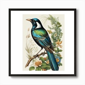 Tui Bird Art Print