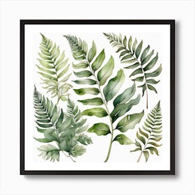 Green fern 5 Art Print