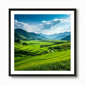 Rice Fields In Vietnam Art Print