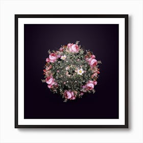 Vintage Pink Hedge Rose in Bloom Flower Wreath on Royal Purple n.1203 Art Print