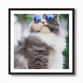 Cat With Sunglasses Art Print