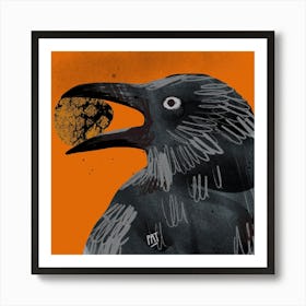 CrowNuts Poster