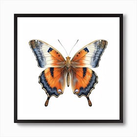 Butterfly 25 Art Print