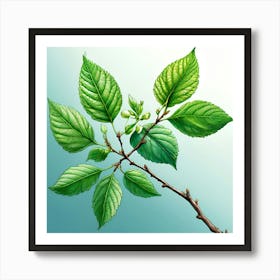 Draw A Close Up Of A Branch With Leaves In A Detailed Scientific Style Use A Light Background And (1) Art Print