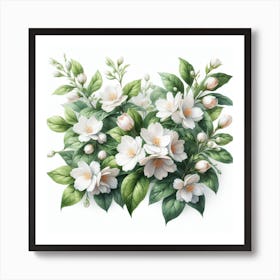 Flowers of Jasmine 4 Art Print