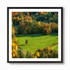 Autumn In The Forest Art Print