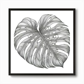 Line Art monstera leaves Art Print