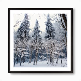 Snowy Forest 8 Art Print