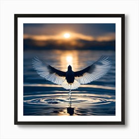 Dove At Sunset 1 Art Print
