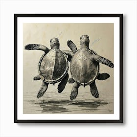 Two Turtles 1 Art Print