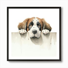 St Bernard Dog 7 Art Print