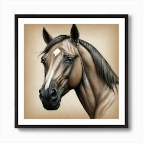 Horse Head 1 Art Print