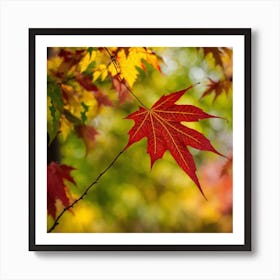 Autumn Maple Leaf Art Print