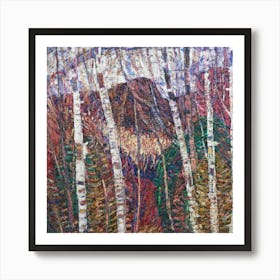 Birch Trees Art Print