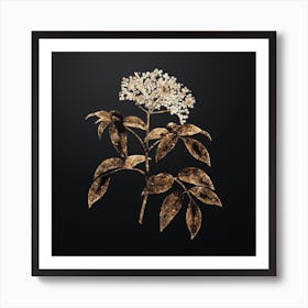 Gold Botanical Elderberry Flowering Plant on Wrought Iron Black n.3067 Art Print