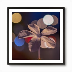 Bokeh Flower Art Print