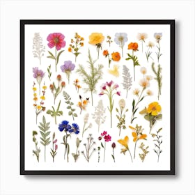 Dried Wild Flowers 6 Art Print