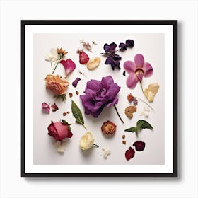 Dried Wild Flowers 3 Art Print