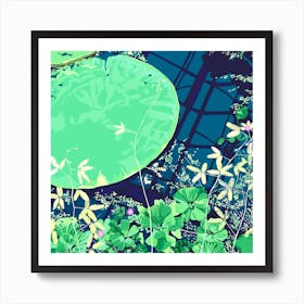 Lily Pads On Blue Square Art Print