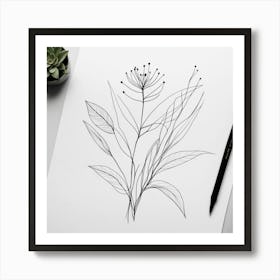 Botanical Drawing Art Print