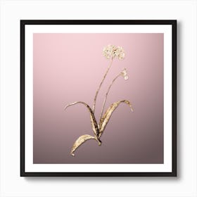 Gold Botanical Spring Garlic on Rose Quartz n.0170 Art Print