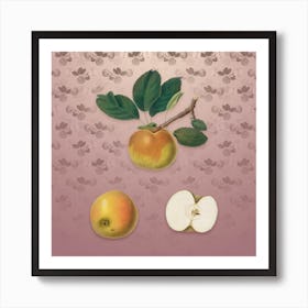 Vintage Apple Botanical on Dusty Pink Pattern n.0207 Art Print
