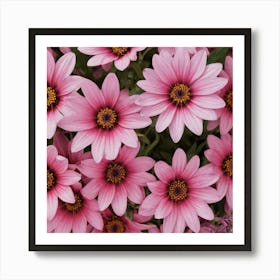 Pink Daisy Art Print