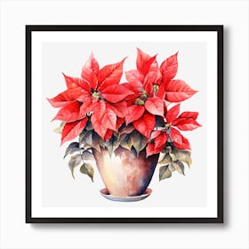 Poinsettia In A Pot 4 Poster