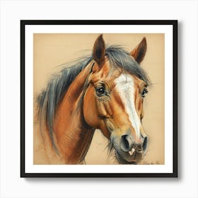 Horse Portrait 6 Art Print