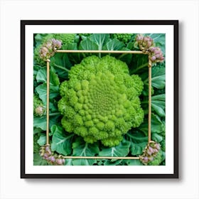 Florets Of Broccoli 24 Art Print