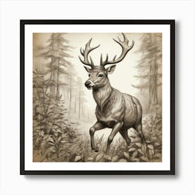 Deer In The Woods 51 Art Print