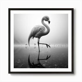 Flamingo Art Print