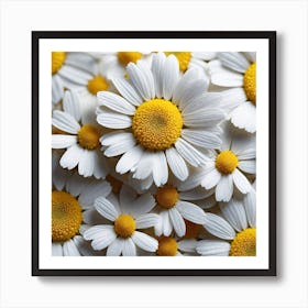 Close Up Of Daisies Art Print