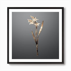 Gold Botanical Gladiolus Cuspidatus on Soft Gray Art Print