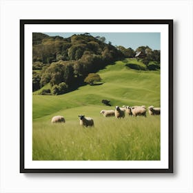 Sheep In A Field 6 Art Print