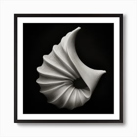 Shell Sculpture Art Print