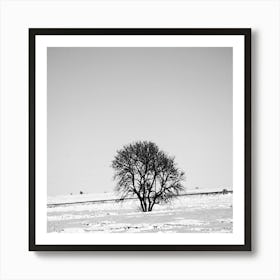 Arbre dans La Prairie Art Print