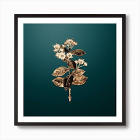 Gold Botanical Tall Calotropis Flower on Dark Teal n.4387 Art Print