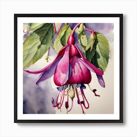 study of a fuchsia Art Print