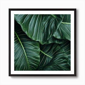 Photography Of The Texture Of A Lush Tropical Leaf Art Print